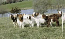 Gallagher ElectroNet – Electric Netting #A201000