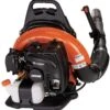 Echo PB-755ST Backpack Blower